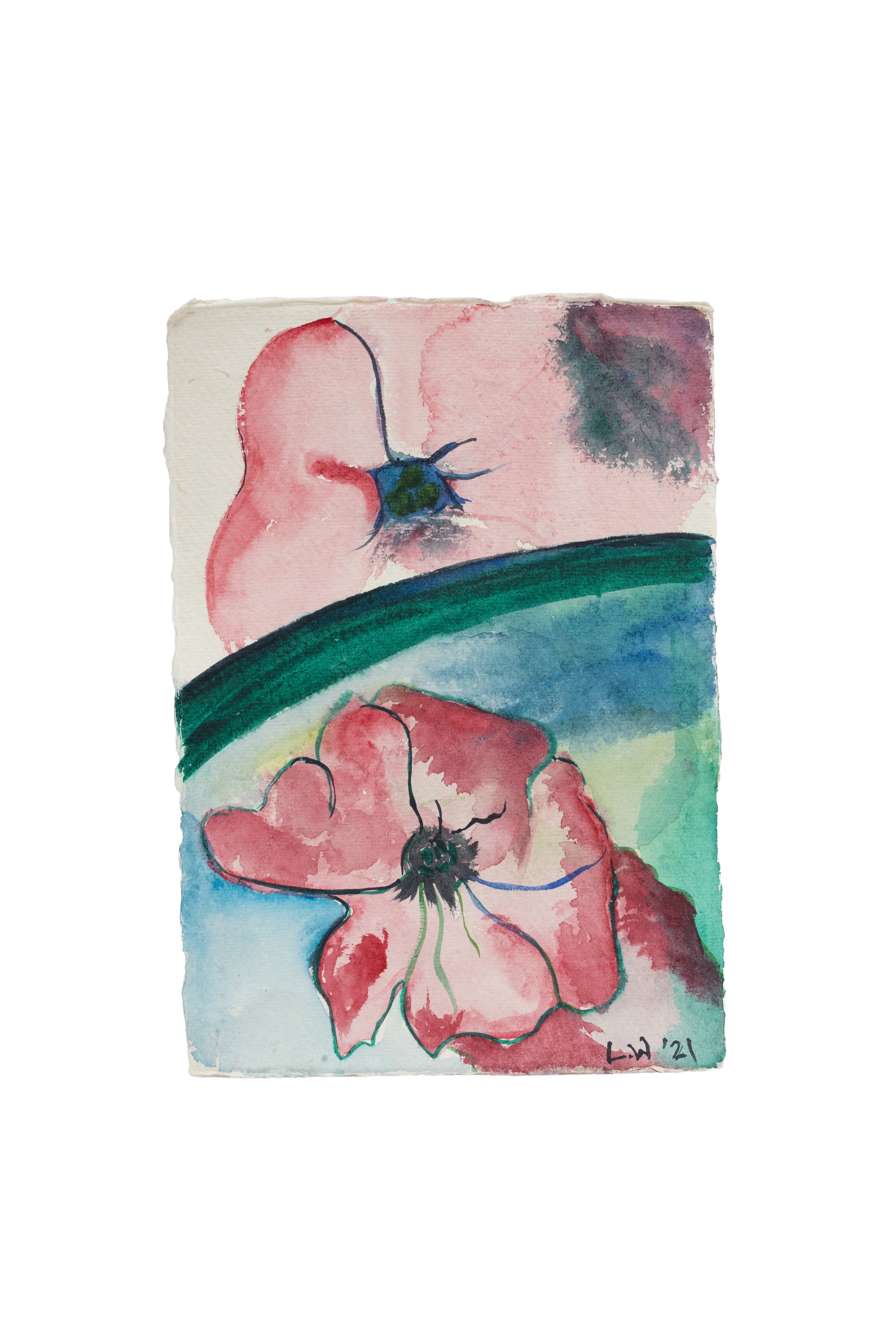 PETUNIA NO. 2