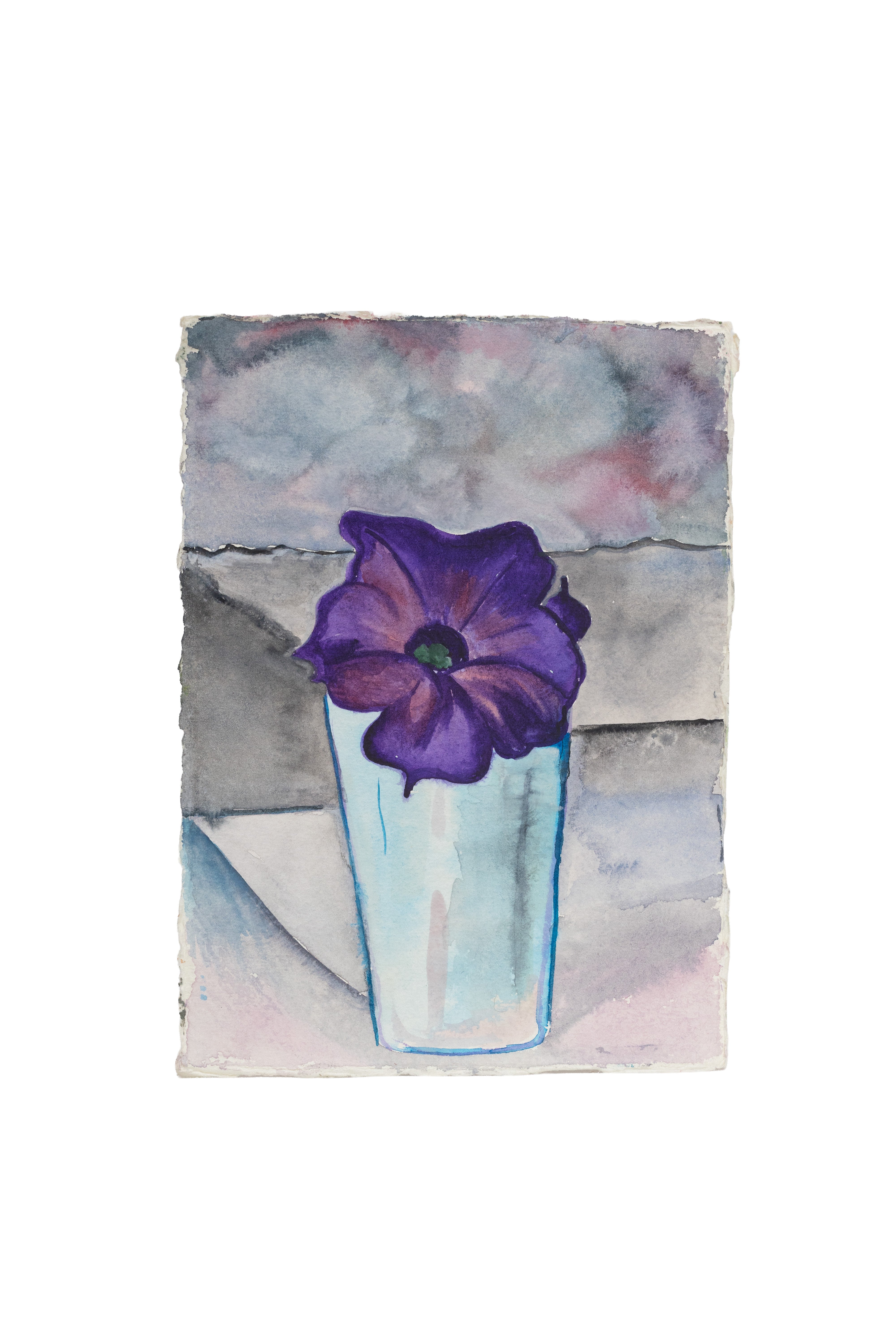 PETUNIA, LAKE GEORGE 1925